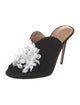 Aquazzura Suede Ruffle Embellishment Slides