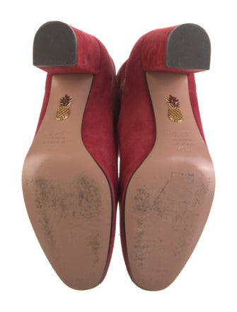 Aquazzura Suede Boots
