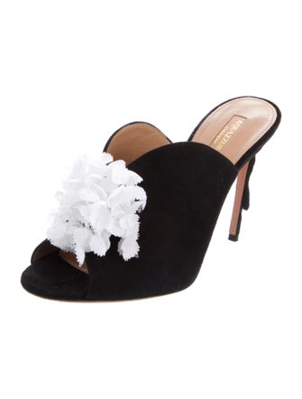 Aquazzura Suede Floral Print Mules