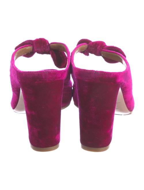 Aquazzura Velvet Bow Accents Mules