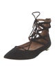 Aquazzura Suede Ballet Flats