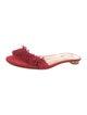Aquazzura Suede Fringe Trim Accent Slides