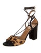 Aquazzura Suede Animal Print Gladiator Sandals