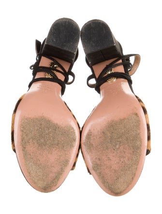 Aquazzura Suede Animal Print Gladiator Sandals