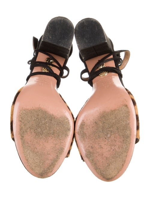 Aquazzura Suede Animal Print Gladiator Sandals