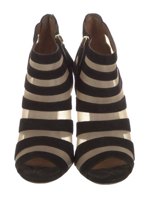 Aquazzura Suede Striped Gladiator Sandals