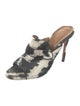Aquazzura Terry Cloth Animal Print Slides