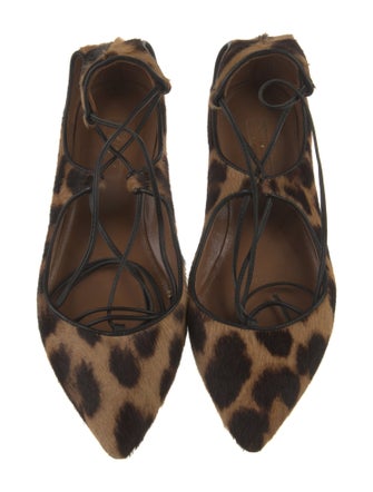 Aquazzura Ponyhair Animal Print Ballet Flats