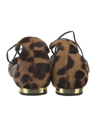Aquazzura Ponyhair Animal Print Ballet Flats