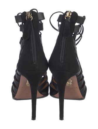 Aquazzura Suede Pumps