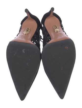 Aquazzura Suede Pumps