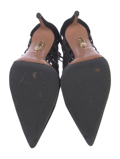 Aquazzura Suede Pumps