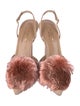 Aquazzura Suede Pom-Pom Embellishments Slingback Pumps