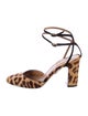 Aquazzura Ponyhair Animal Print D'Orsay Pumps