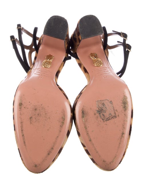 Aquazzura Ponyhair Animal Print D'Orsay Pumps