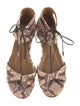 Aquazzura Snakeskin Printed Gladiator Sandals