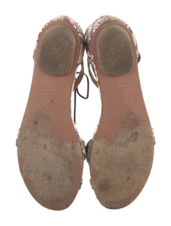 Aquazzura Snakeskin Printed Gladiator Sandals