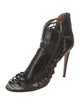 Aquazzura Alligator Pumps