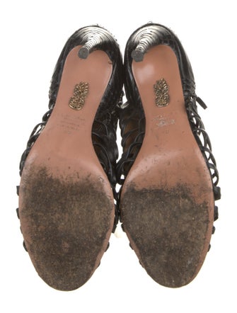 Aquazzura Alligator Pumps