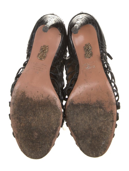Aquazzura Alligator Pumps