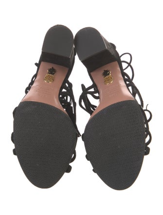 Aquazzura Suede Tassel Accents Gladiator Sandals