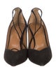 Aquazzura Suede Pumps
