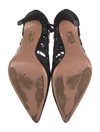 Aquazzura Suede Pumps