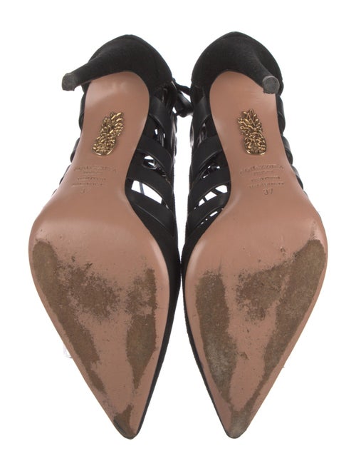 Aquazzura Suede Pumps