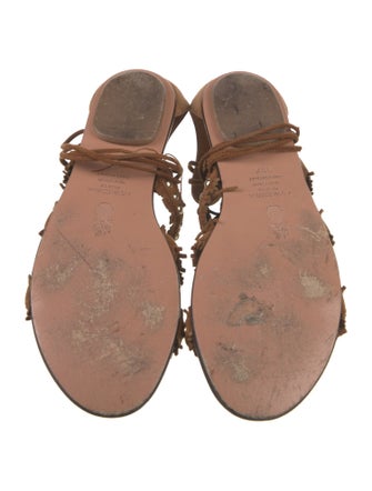 Aquazzura Suede Studded Accents Gladiator Sandals