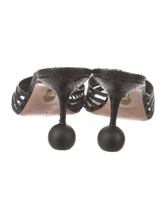 Aquazzura Snakeskin Cutout Accent Slides