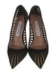 Aquazzura Suede Pumps