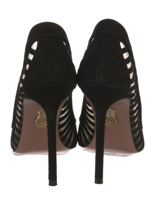 Aquazzura Suede Pumps
