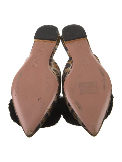 Aquazzura Floral Print Pom-Pom Embellishments Mules