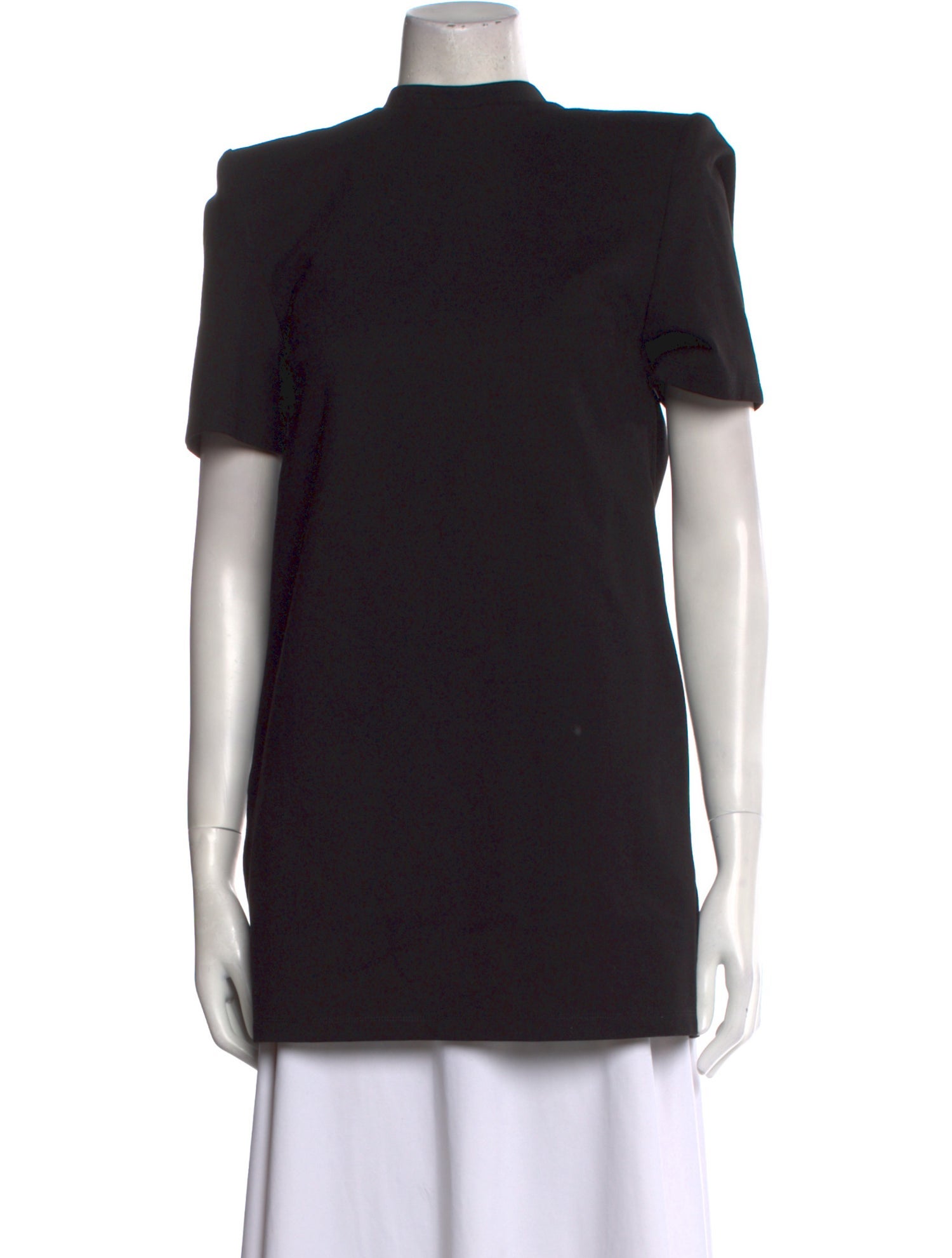 Area Mock Neck Mini Dress w/ Tags