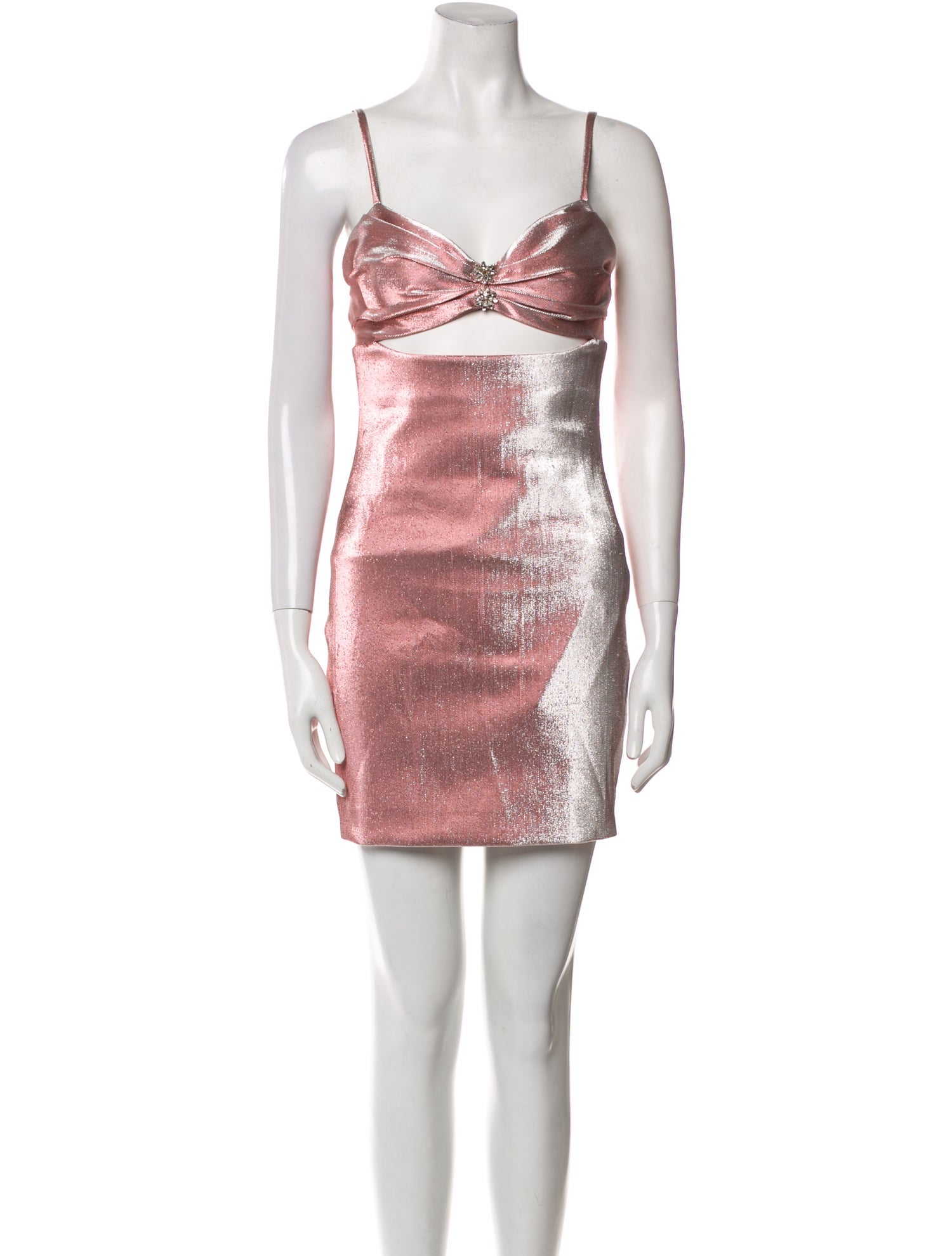 Area Printed Mini Dress