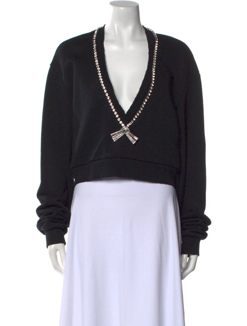 Area V-Neck Long Sleeve Crop Top