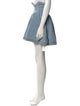 Area Mini Skirt