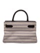 Asprey Canvas Top Handle Bag