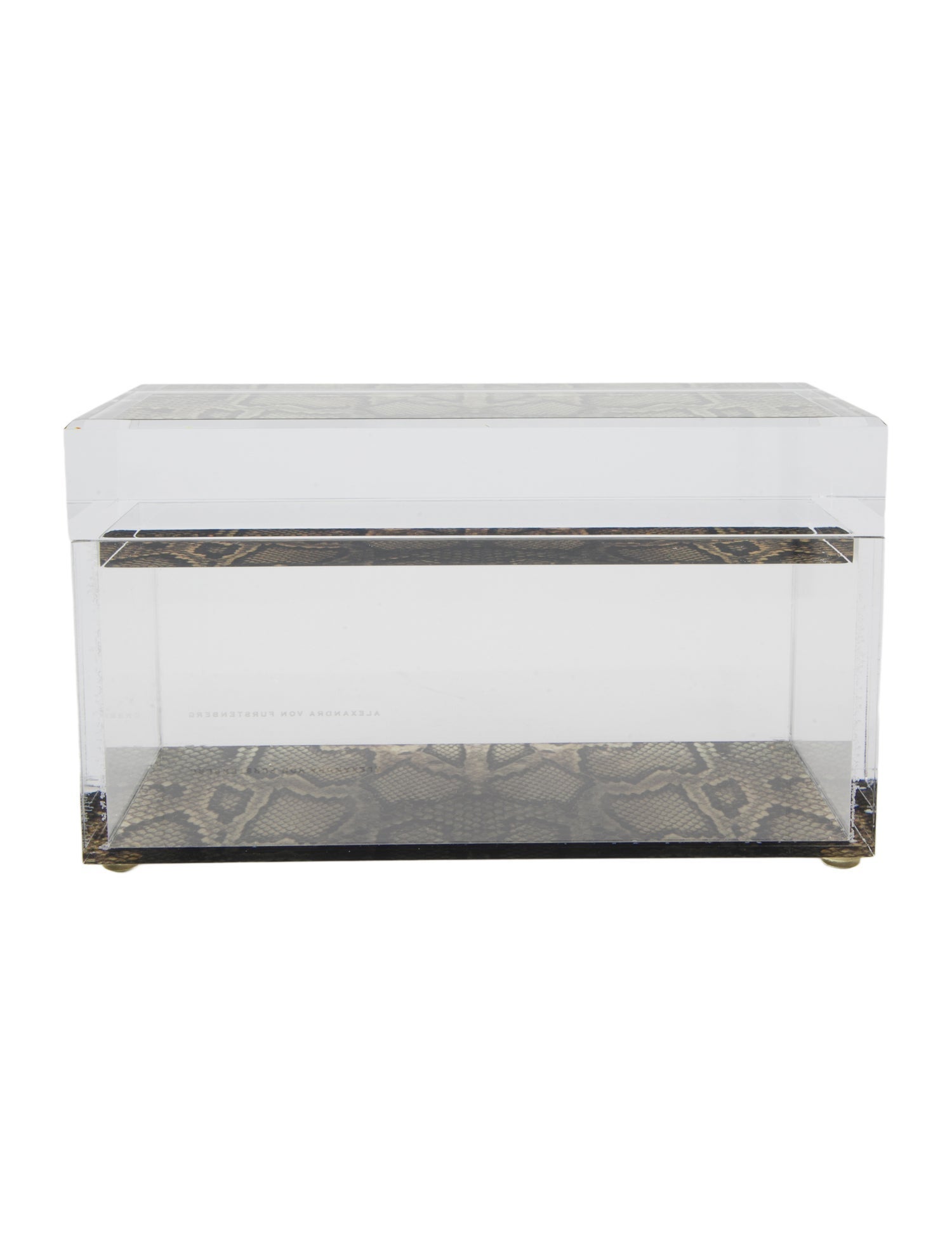 Alexandra von Furstenberg Medium Snake Treasure Box