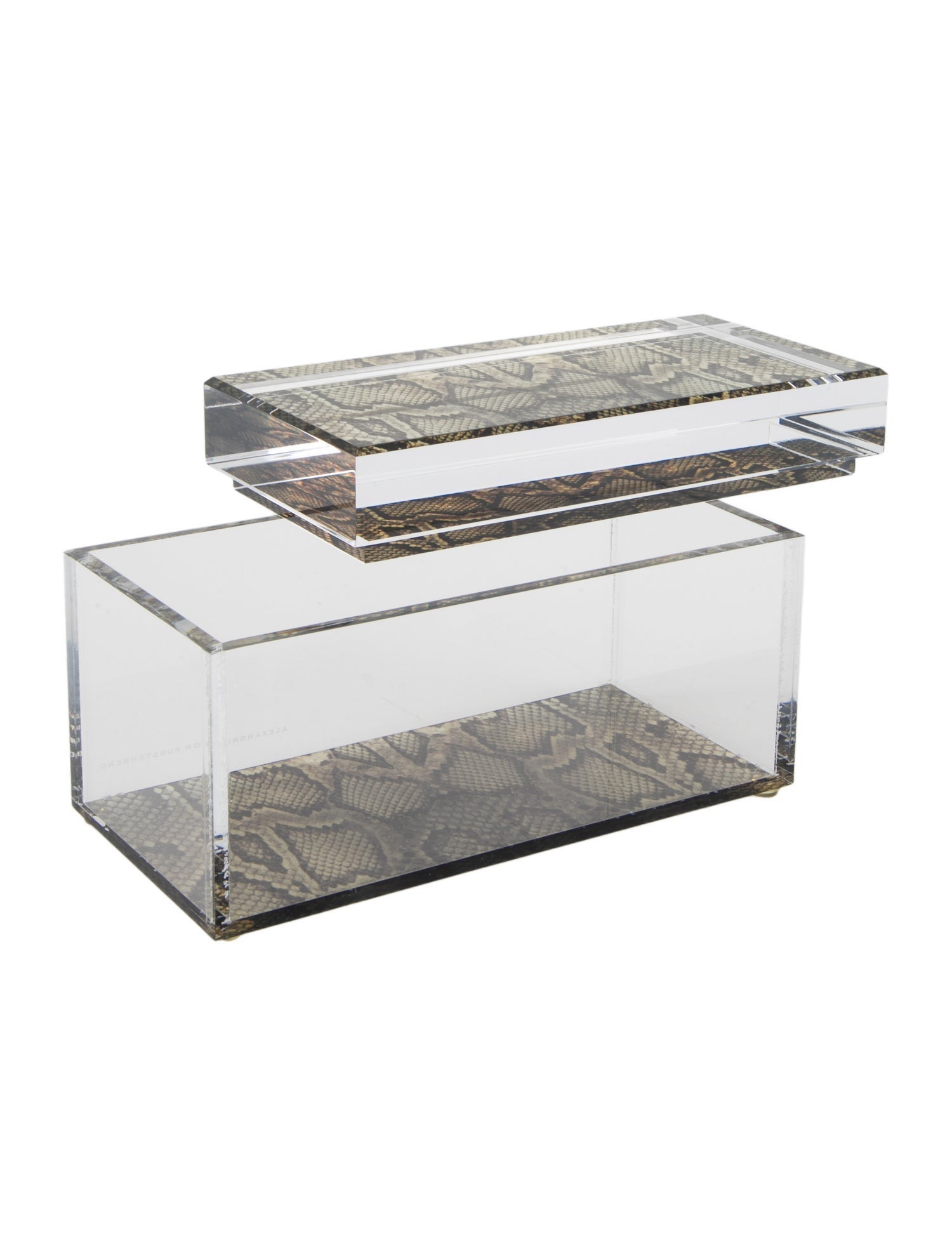 Alexandra von Furstenberg Medium Snake Treasure Box