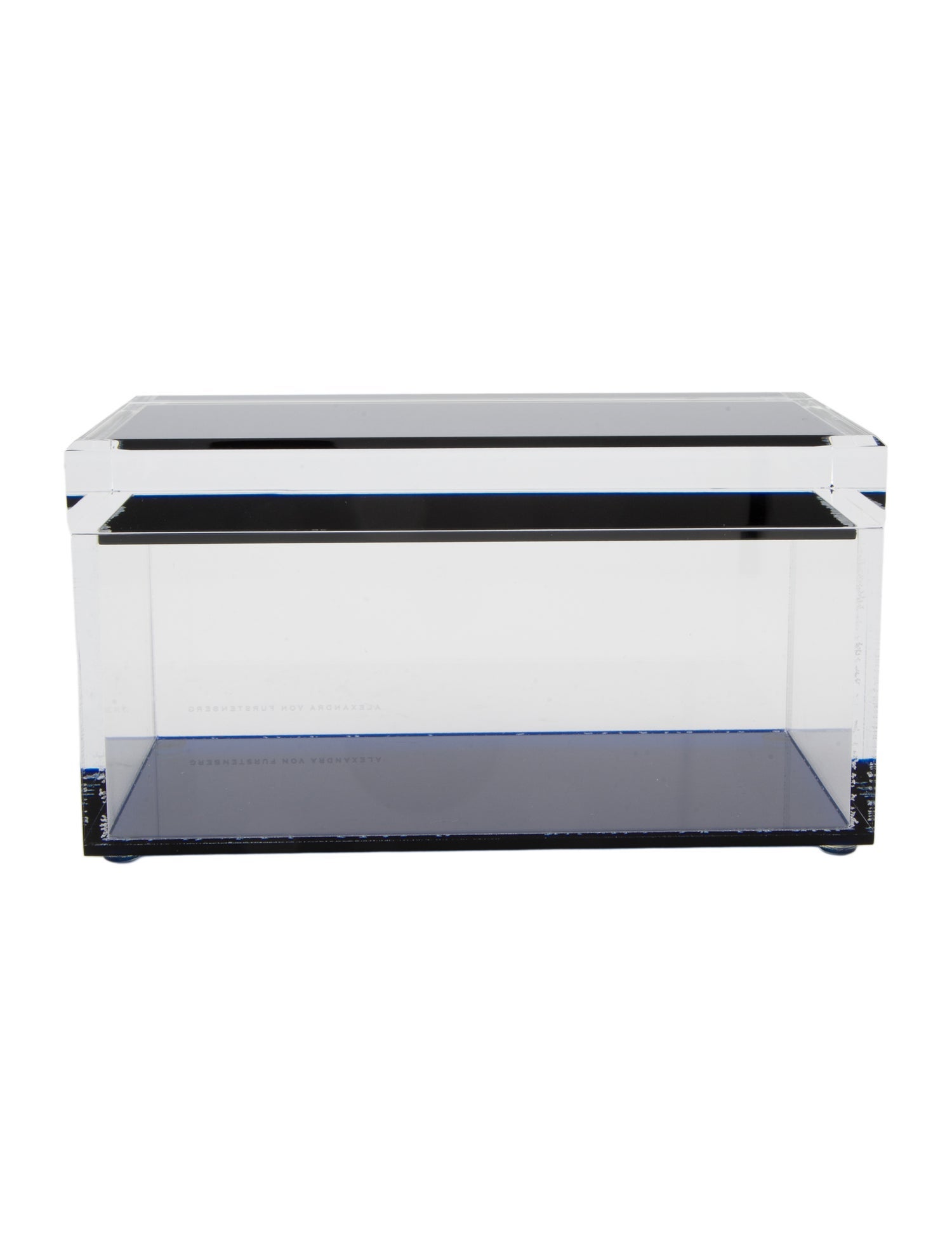 Alexandra von Furstenberg Medium Treasure Box