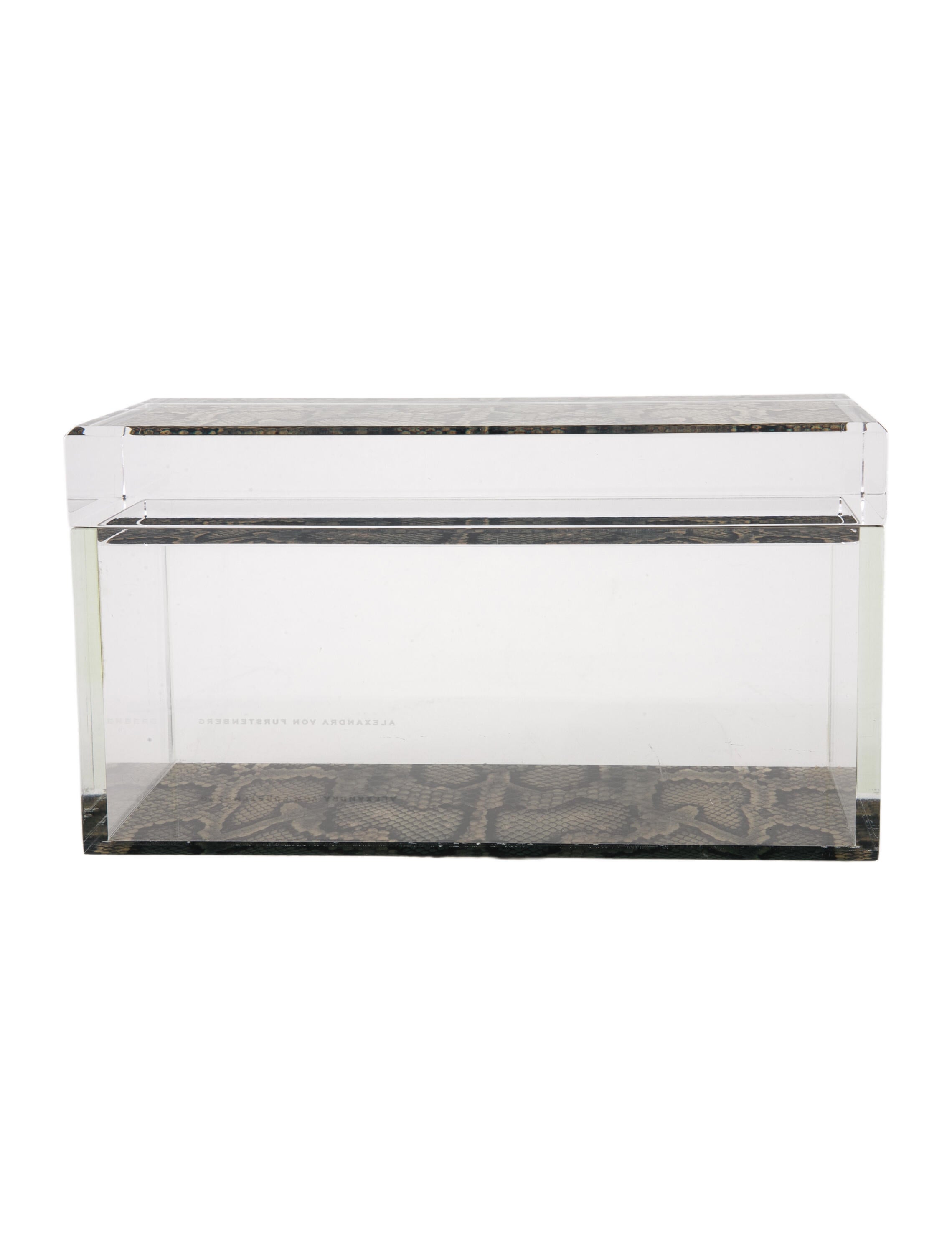 Alexandra von Furstenberg Medium Snake Treasure Box