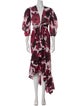 Alexandre Vauthier Floral Print Long Dress