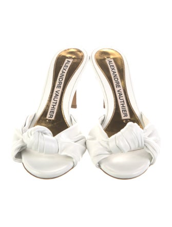 Alexandre Vauthier Canvas