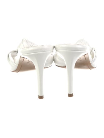 Alexandre Vauthier Canvas