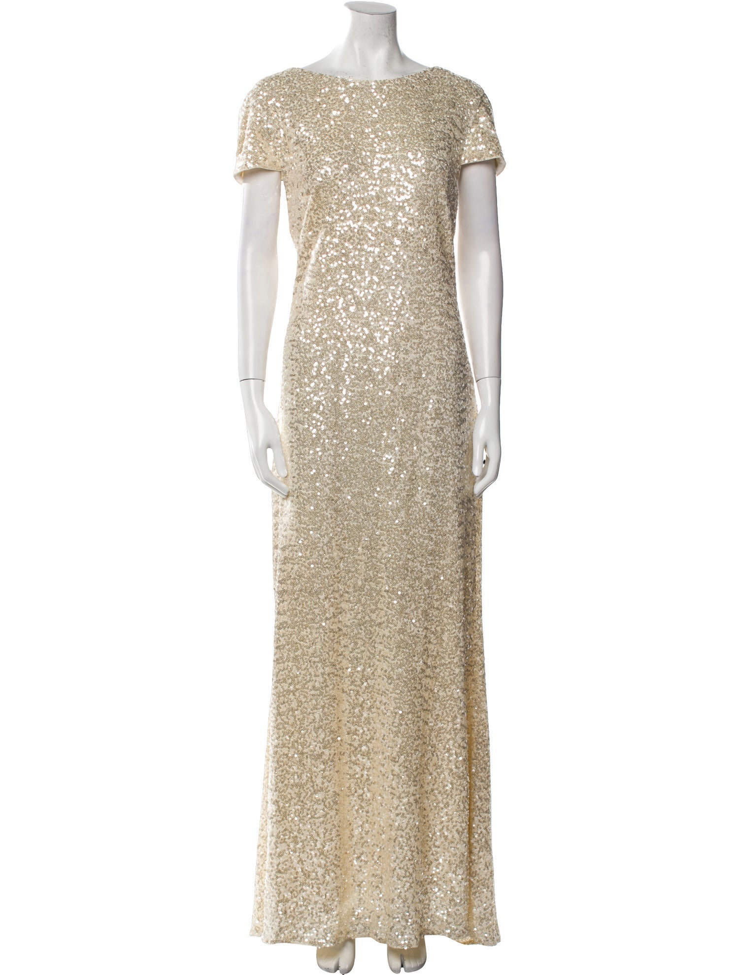 Badgley Mischka Nylon Long Dress