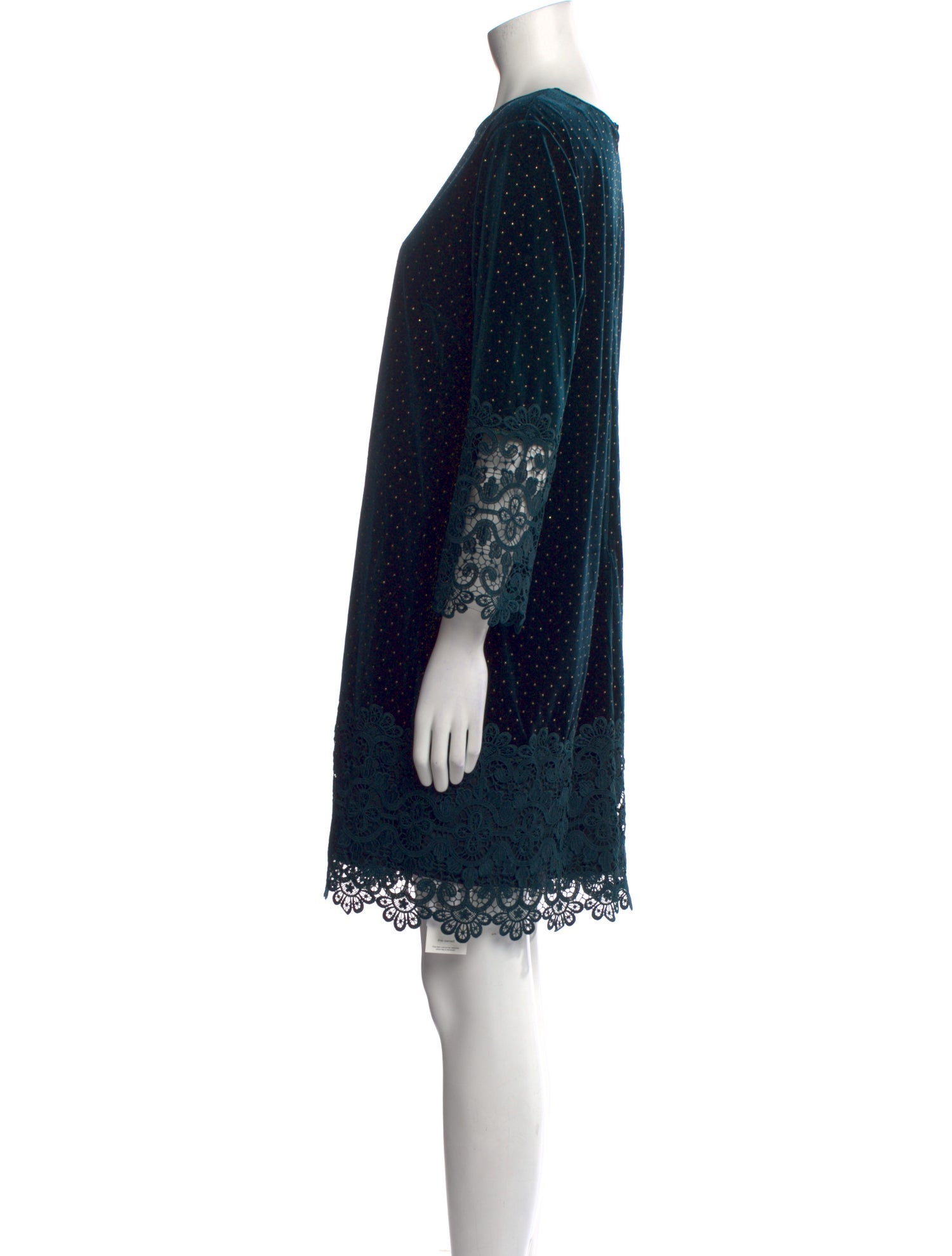 Badgley Mischka Lace Pattern Mini Dress
