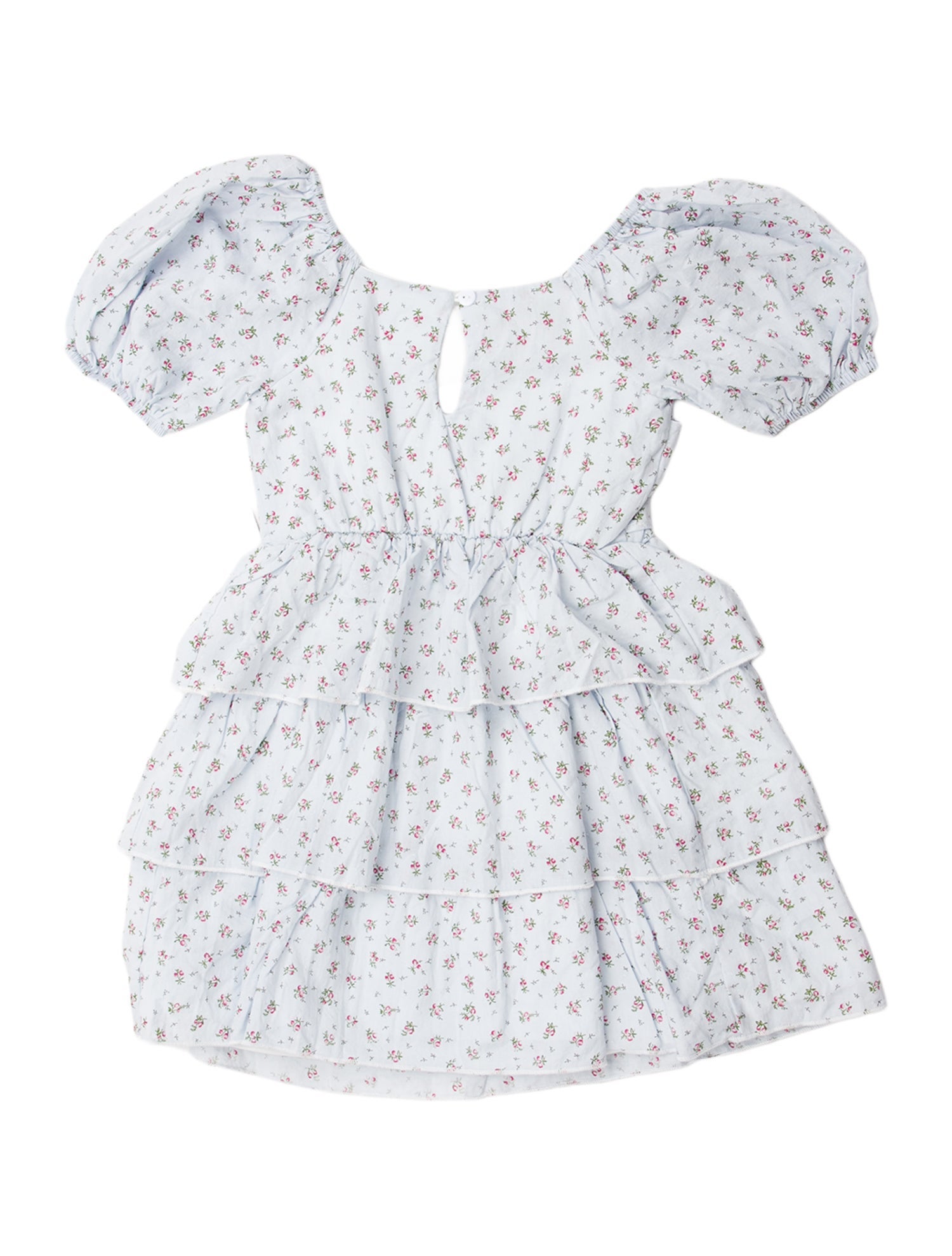 Badgley Mischka Floral Print Scoop Neck Crop Top w/ Tags