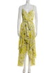 Badgley Mischka Printed Long Dress