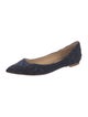 Badgley Mischka Suede Crystal Embellishments Ballet Flats